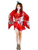 Sexy Kimono Robe