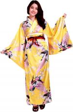 Elegant Kimono Dress