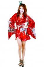 Sexy Kimono Robe